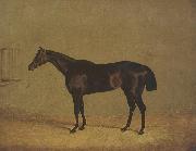 John Frederick Herring The Racehorse 'Mulatto' in A Stall Spain oil painting artist